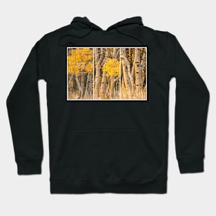 Aspens Trio Hoodie